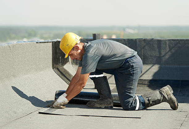 Best Insulation Maintenance and Repair in Verona, KY