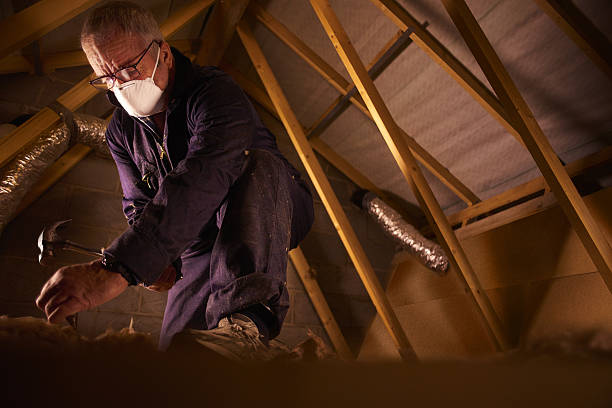 Best Specialty Insulation in Verona, KY